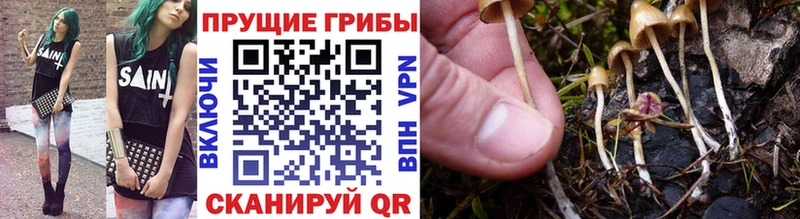 Галлюциногенные грибы Psilocybine cubensis  что такое наркотик  Кудрово 
